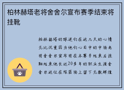 柏林赫塔老将舍舍尔宣布赛季结束将挂靴